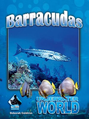 cover image of Barracuda